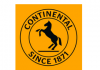Kompanija Continental – letnja praksa 2018